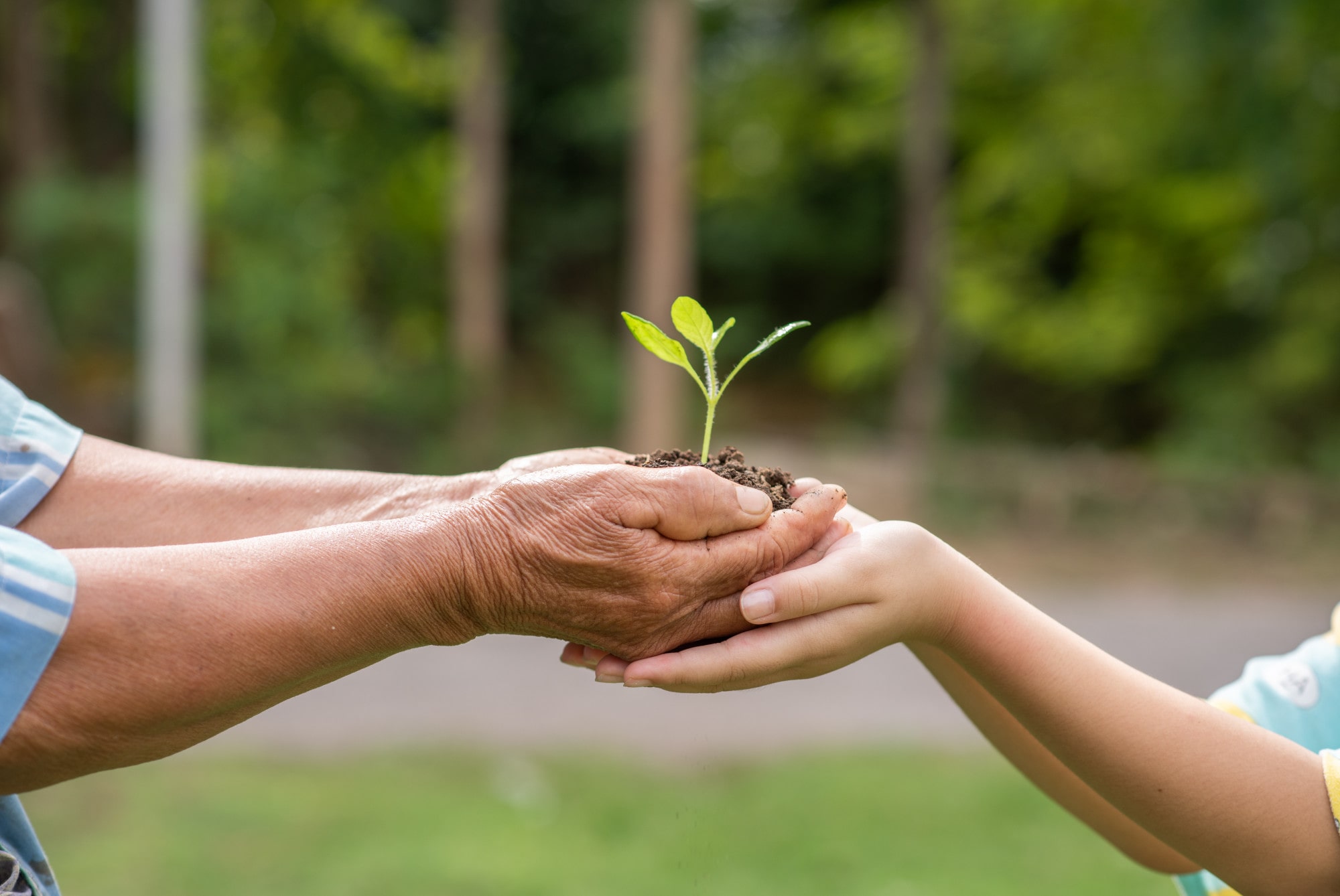 Área verde em empreendimento com foco em sustentabilidade